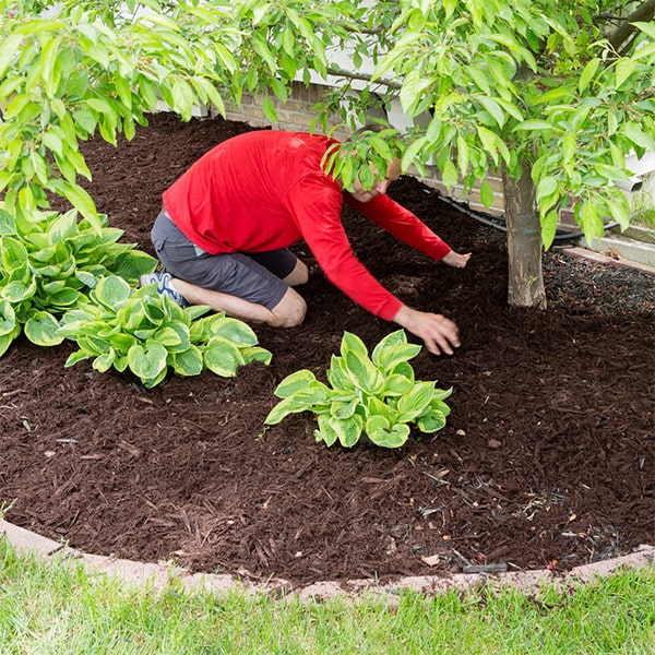 we specialize in mulch installation for flower beds and garden areas